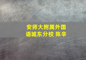 安师大附属外国语城东分校 陈辛